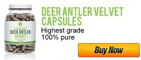 deer antler velvet capsules